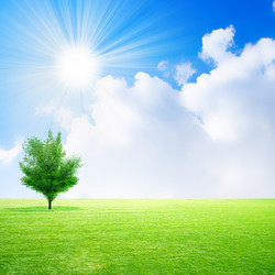 Similar image 408642