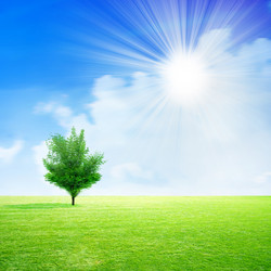 Similar image 408644