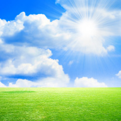 Similar image 408654