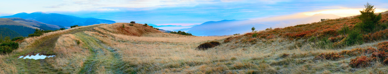 Similar image 408689