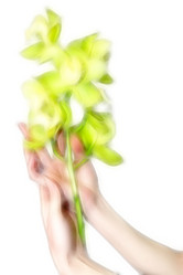 Similar image 408718