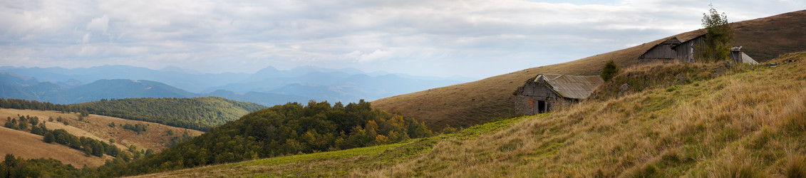 Similar image 408719