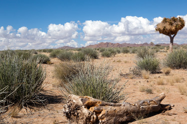 Similar image 408850