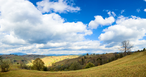 Similar image 408882