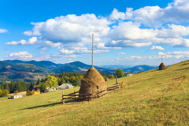 Similar image 408898