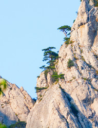 Similar image 408926