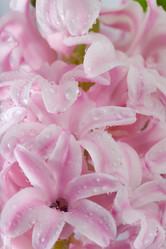 Similar image 409011