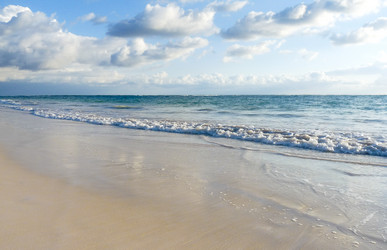 Similar image 409051