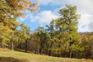 Similar image 409054