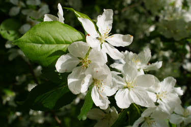 Similar image 409216