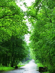 Similar image 409219