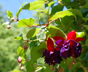 Similar image 409225