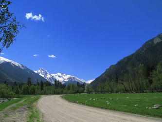 Similar image 409335