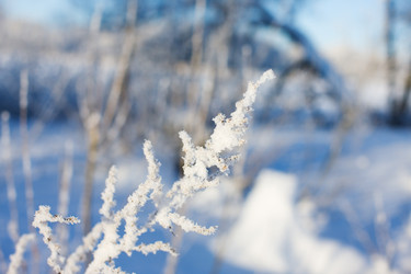 Similar image 409503