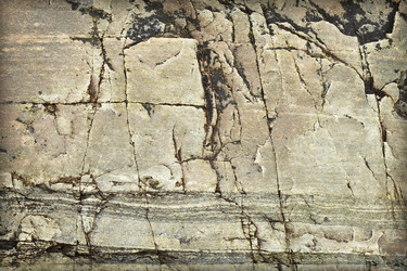 Similar image 409528