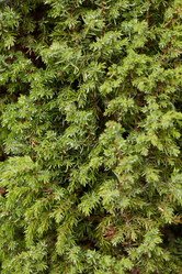 Similar image 409533