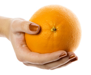 Similar image 409752