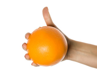 Similar image 409754