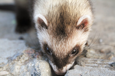 Similar image 409848