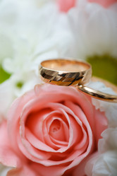 Similar image 409993