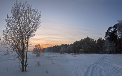 Similar image 409999