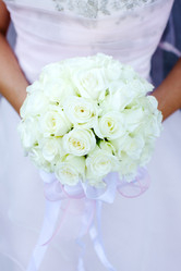 Similar image 410001