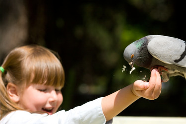 Similar image 410128