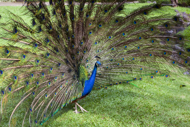 Similar image 410131