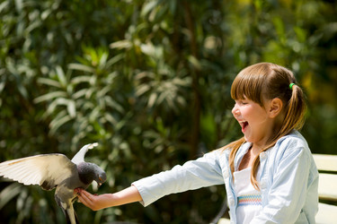 Similar image 410136