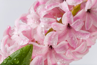 Similar image 410185