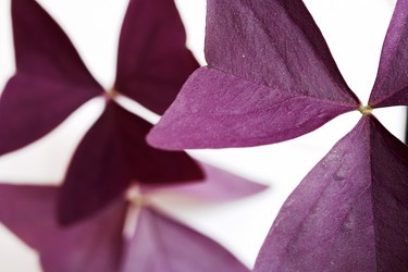 Similar image 410193