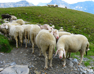 Similar image 410219