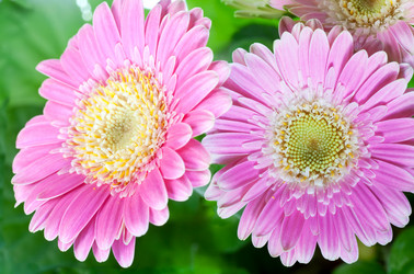 Similar image 410230