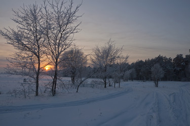 Similar image 410231