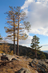 Similar image 410258