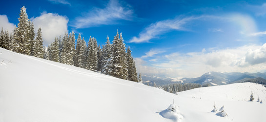 Similar image 410260