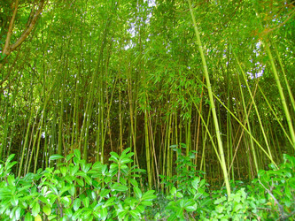 Similar image 410266