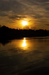 Similar image 410278