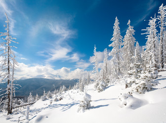 Similar image 410315