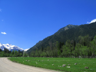 Similar image 410324