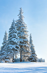 Similar image 410327