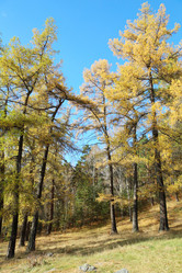 Similar image 410386