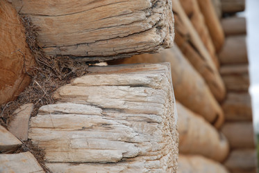 Similar image 410574