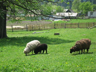 Similar image 410658