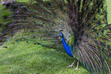 Similar image 410661