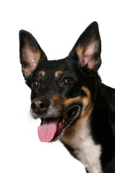 Similar image 410844