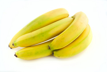 Similar image 411002