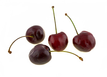 Similar image 411007