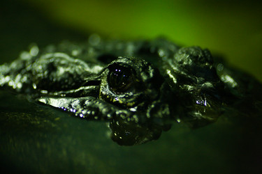 Similar image 411008