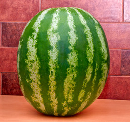 Similar image 411009